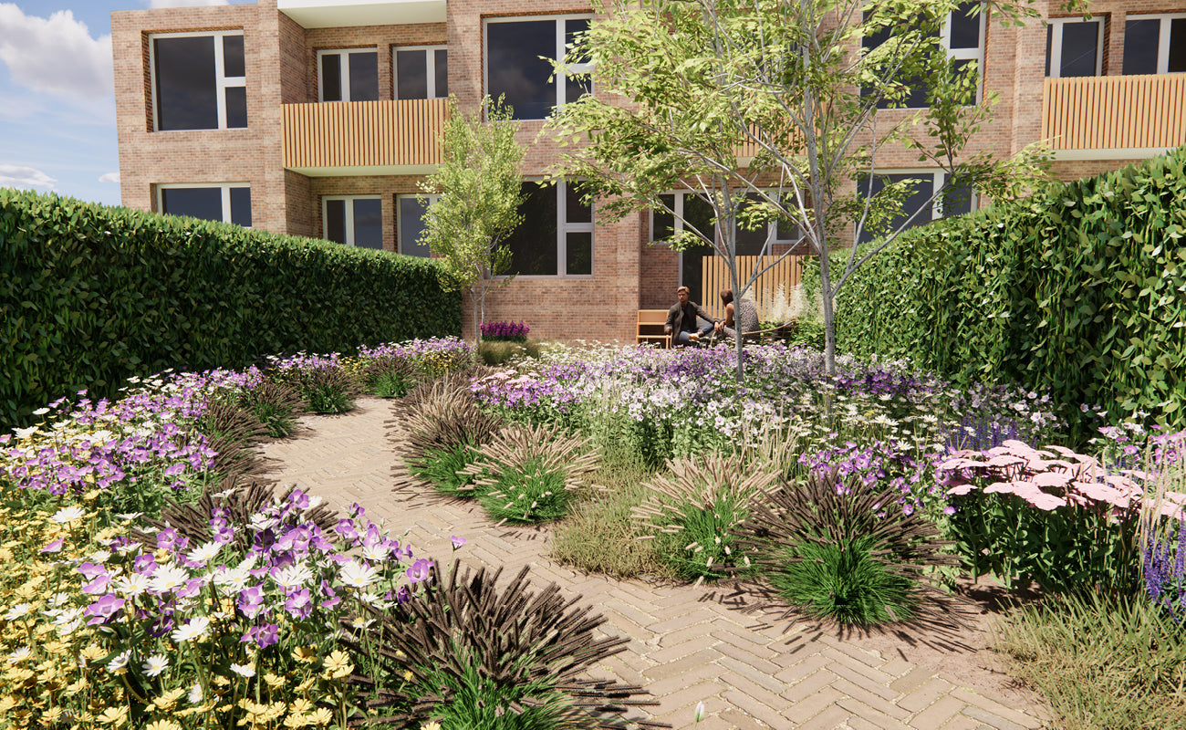 Zomerschool | SketchUp Render