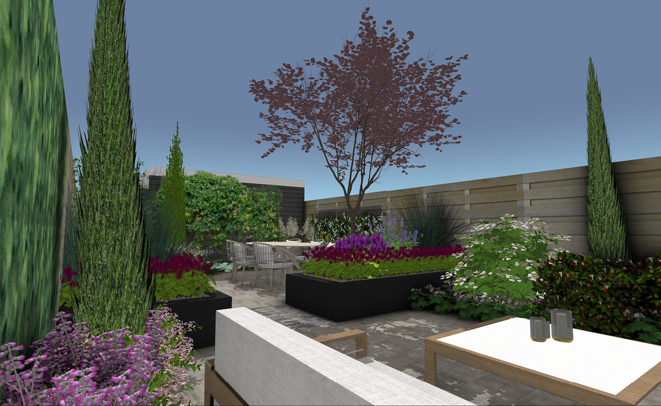 Zomerschool | SketchUp Render