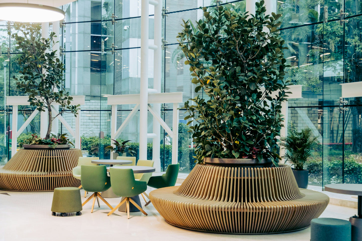 Zomerschool | Kennismaken met Biophilic Design