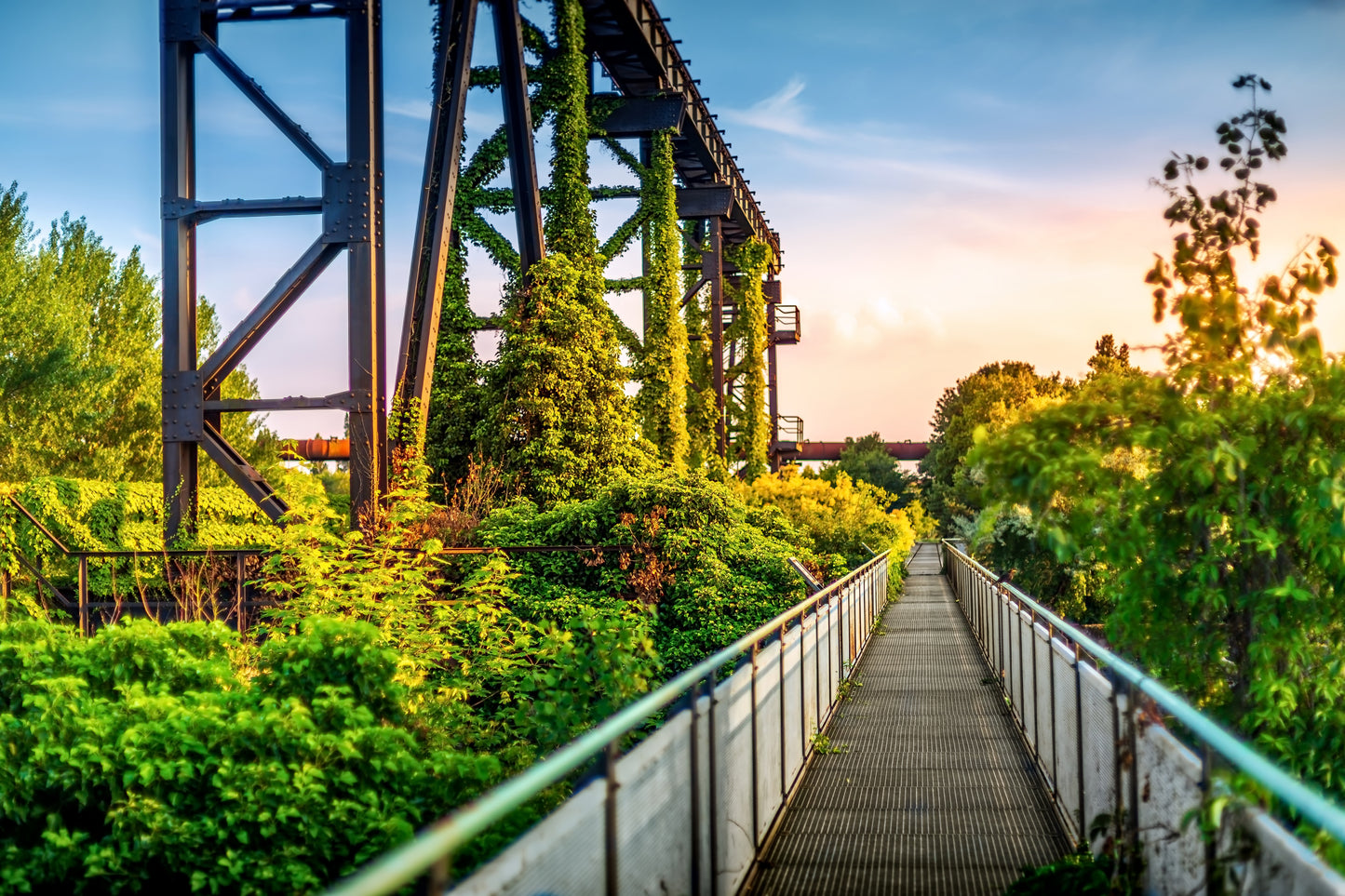 Zomerschool | Masterclass 'Landschaftspark Duisburg – Nord'