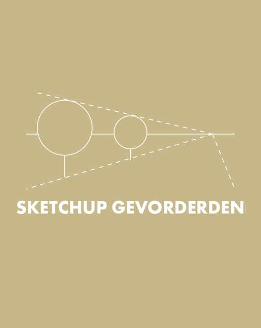 SketchUp Gevorderden Online